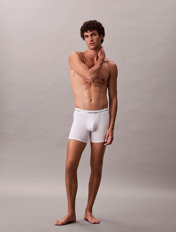 5 Pack Boxer Briefs - Icon Cotton Stretch