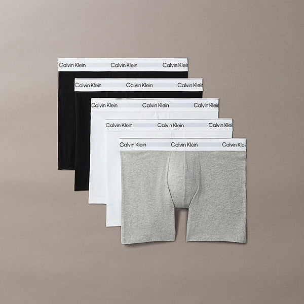 5 Pack Boxer Briefs - Icon Cotton Stretch